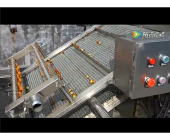 臨安市超越食品大棗清洗拋（pāo）光風幹線