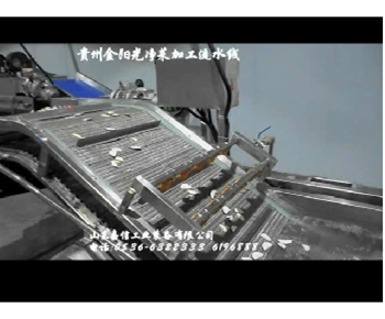 安徽溜味族食品破袋挑選洗袋烘幹線