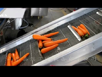 胡蘿卜清洗切片脫水（shuǐ） 