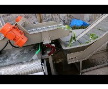  91香蕉视频油菜清洗視頻