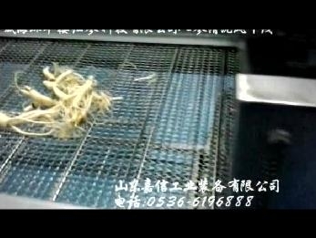 威海環翠樓人(rén)參清洗風幹(gàn)線