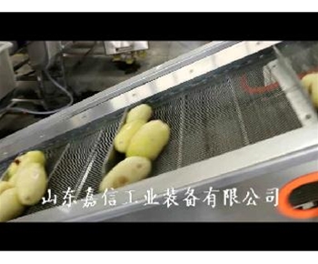 土豆清洗去（qù）皮機
