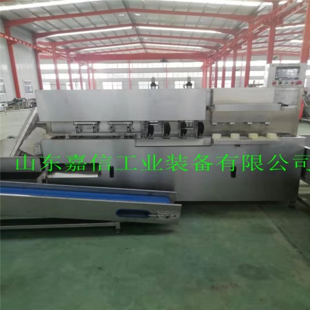 水果全自動(dòng)去皮去核機