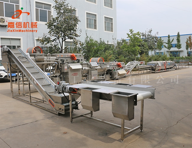 果(guǒ)蔬酵素碳酸生產線