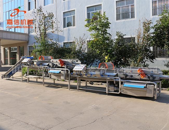 紅（hóng）棗分級清洗拋光瀝（lì）水烘幹流水線