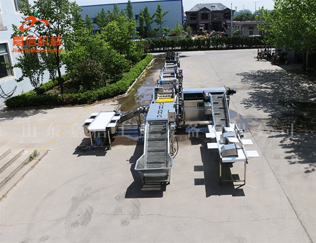 供應生產 生薑清洗烘幹流水線 中藥材清洗烘幹（gàn）流水線