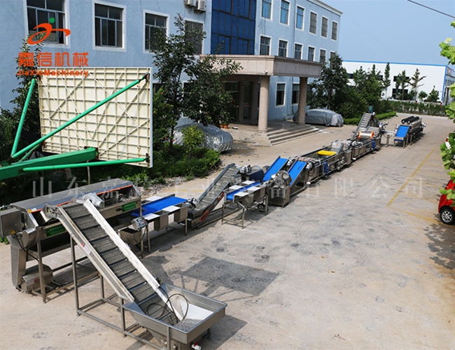 清洗\消毒\風幹流水線(淨菜\胡蘿卜（bo）\土豆\棗類)