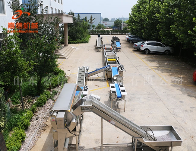 清洗（xǐ）\消毒\風幹（gàn）流（liú）水線(淨菜\胡蘿卜\棗類)