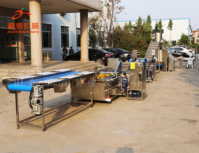 根莖（jīng）類、葉（yè）菜類二合一（yī）清洗風幹流水線（xiàn）設備