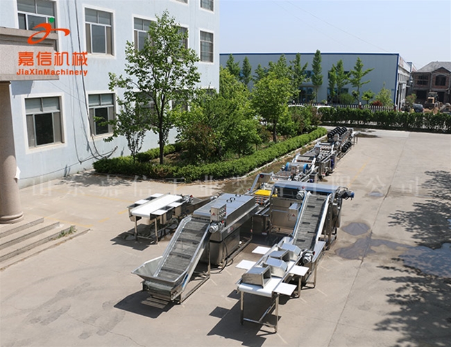 葉菜類清洗風（fēng）幹流水線